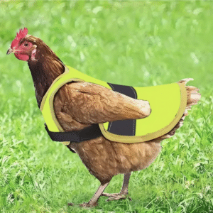 Chaleco Chulio para Pollo